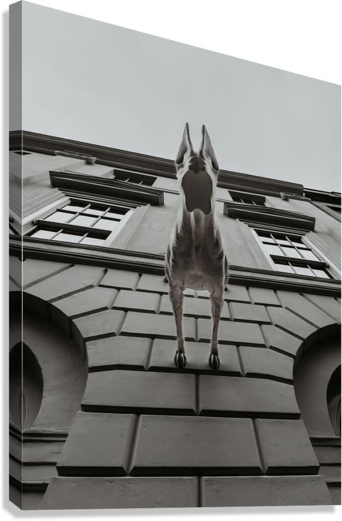 Downward Dog Canvas Print
