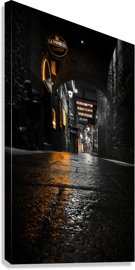 Lone Busker Canvas Print