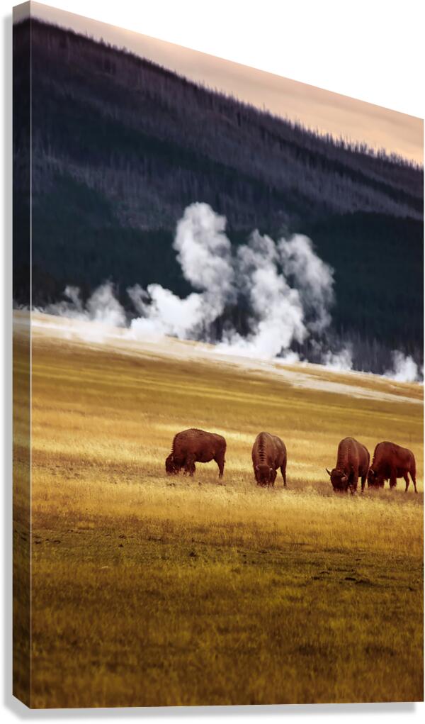 Brothers Canvas Print