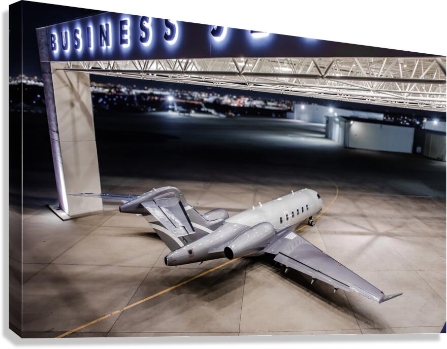 Night Wing Canvas Print
