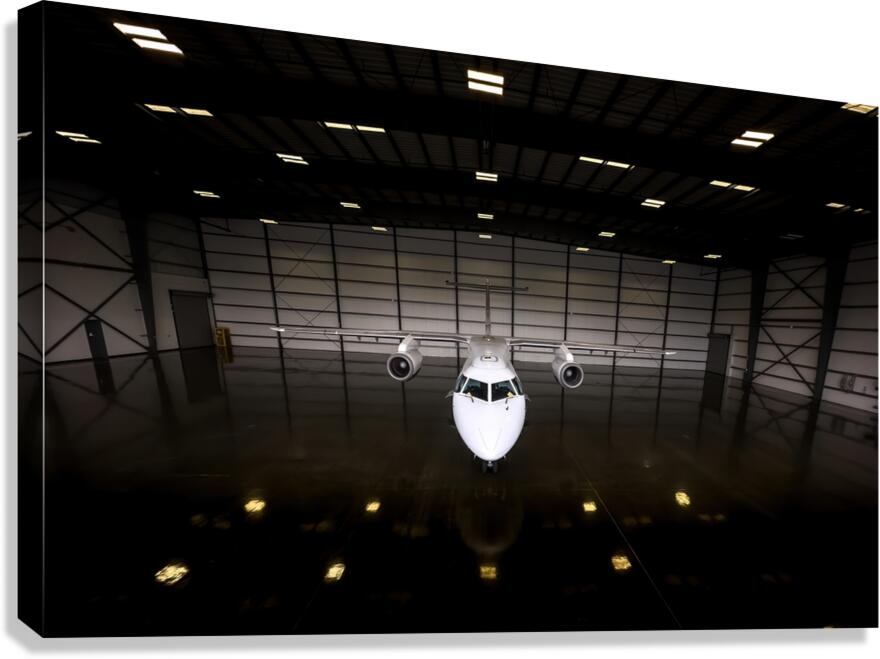 Lone Flyer Canvas Print