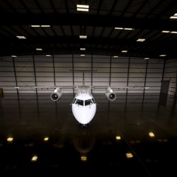 Lone Flyer