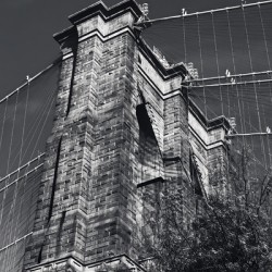 Brooklyn Tower