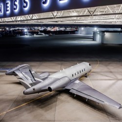Night Wing