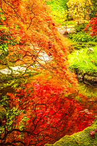 Orange Reflects Red