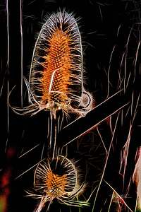 Spikes