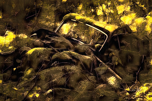 Collapse