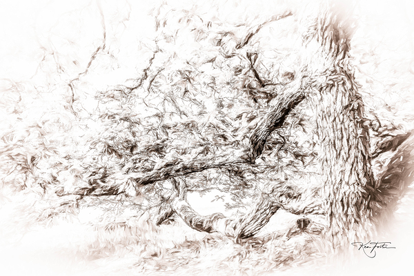 Ent Left Print