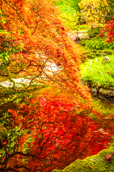 Orange Reflects Red Print