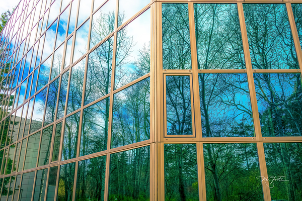 Reflecting Print
