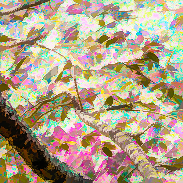 Spring on the Tree Print