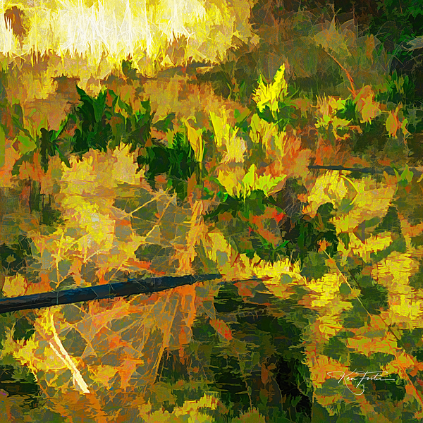 End of the Pond by Ken Foster