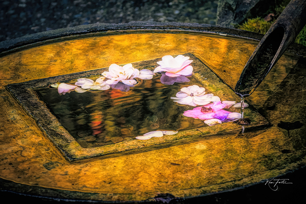 Floaters Print