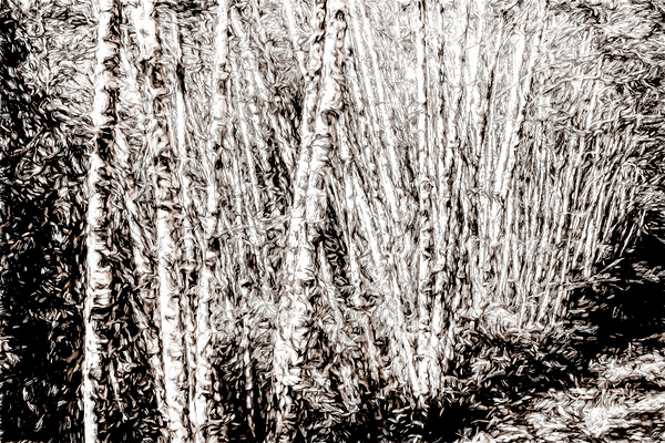 Many Trunks Print