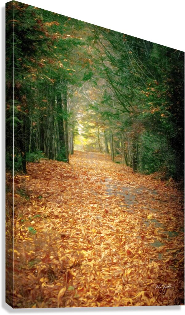 Path Canvas Print