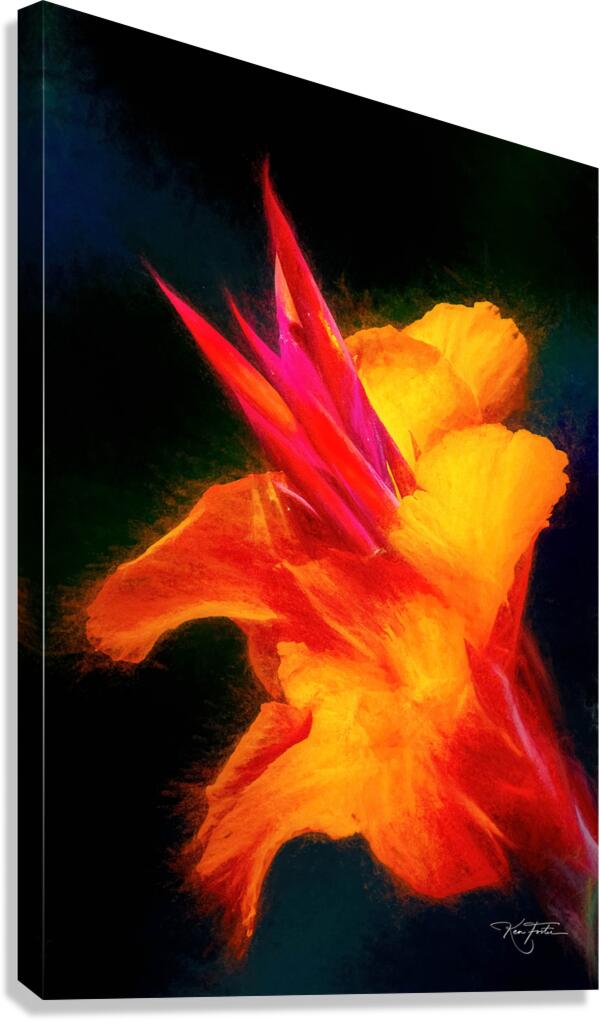 Red Vapours Canvas Print