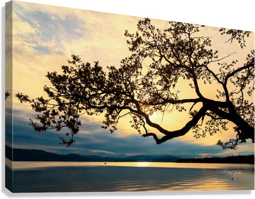 Reach Canvas Print