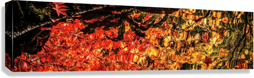 Reflected Glory Canvas Print