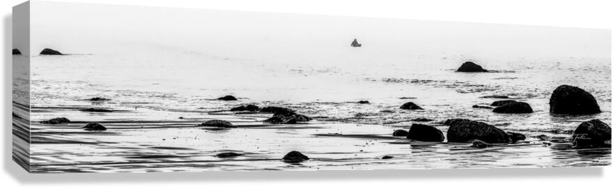 Single Surfer Canvas Print