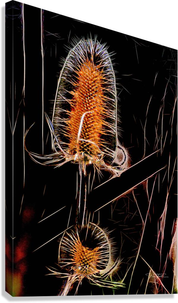 Spikes Canvas Print