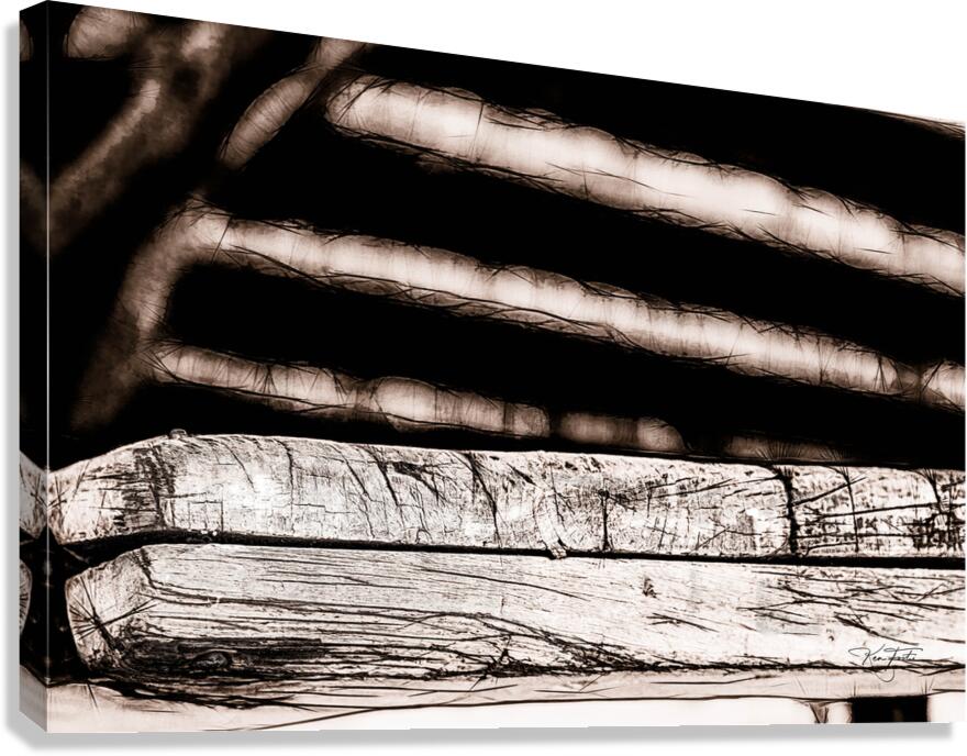 Step Canvas Print