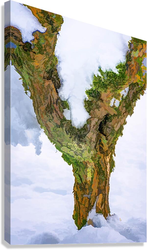 Surrounded Canvas Print
