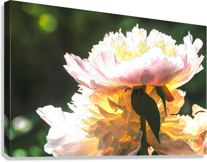 Tea Light Canvas Print