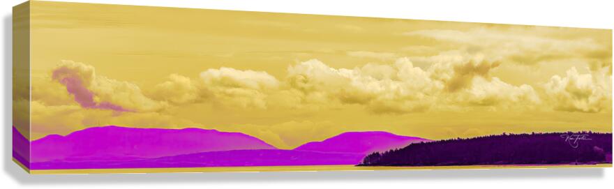 The Purpling Canvas Print