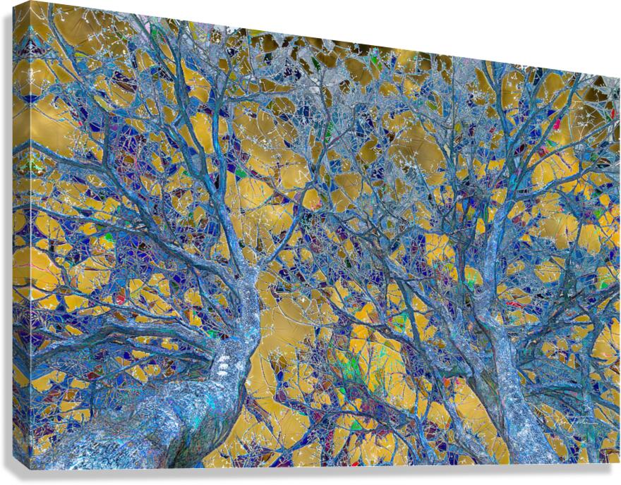 Things are Looking Up Canvas Print