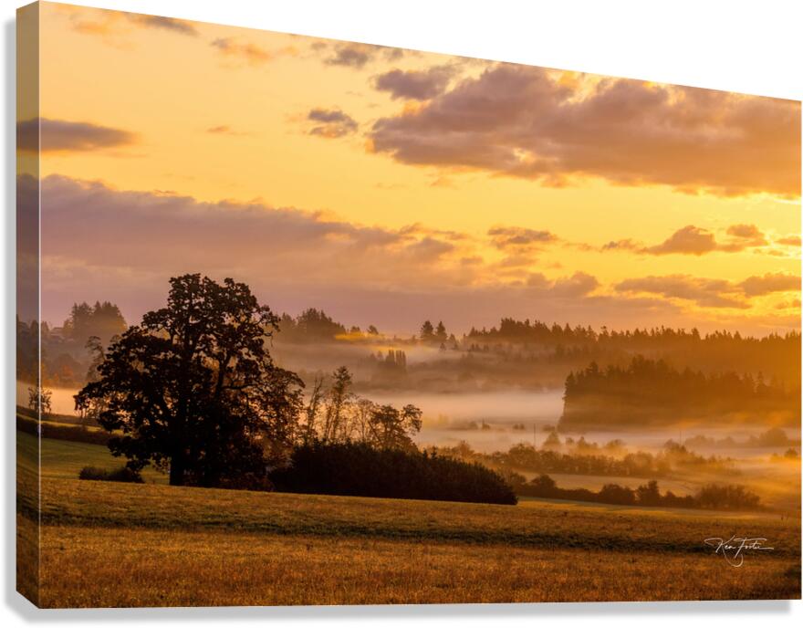 Valley View Canvas Print