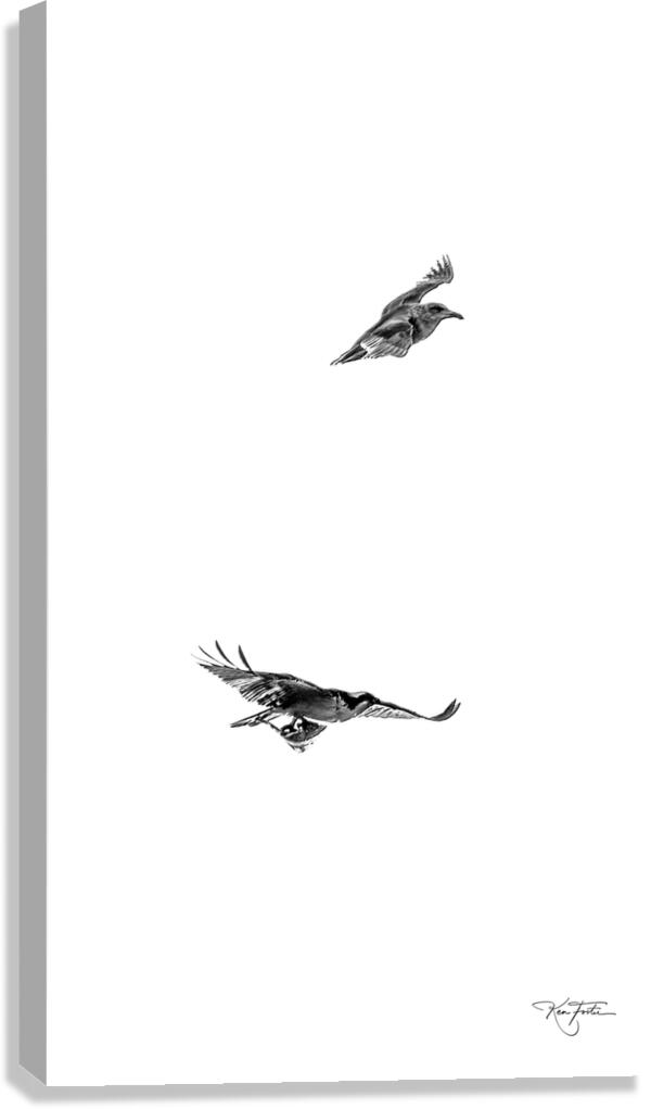 When Fish Fly Canvas Print