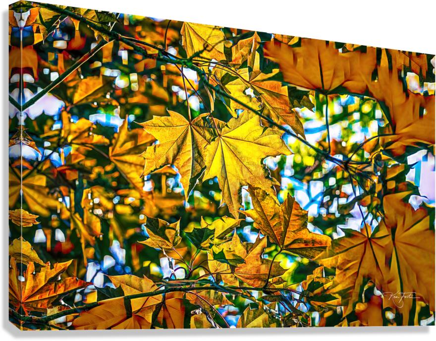 Wider View Canvas Print