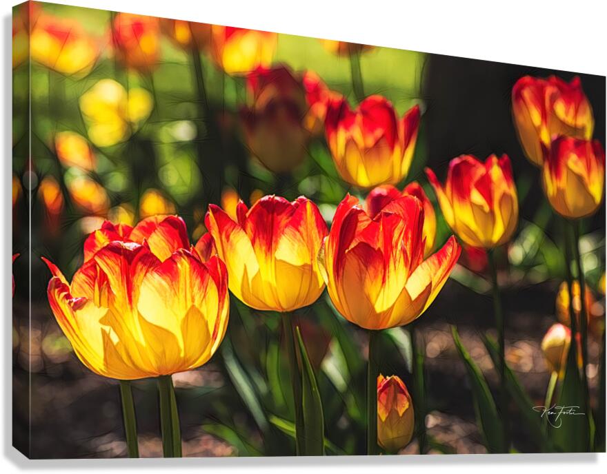 Yellow With Red Canvas Print