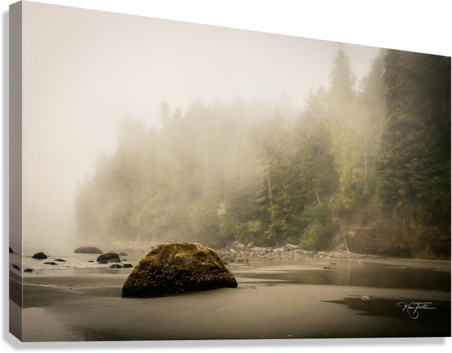 A Beach Rock Canvas Print