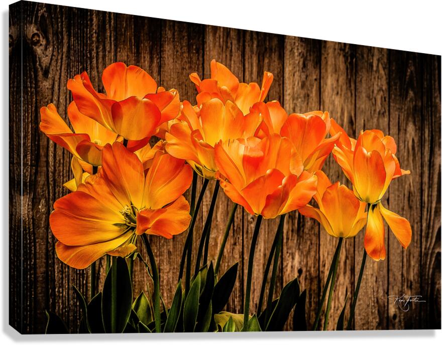 Against the Wall Canvas Print
