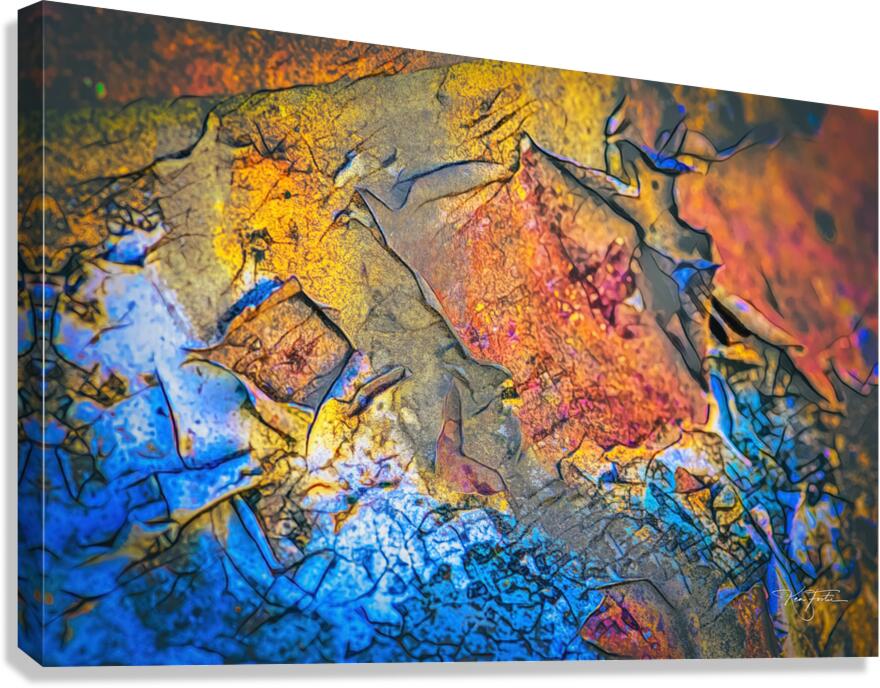 Appeal Canvas Print