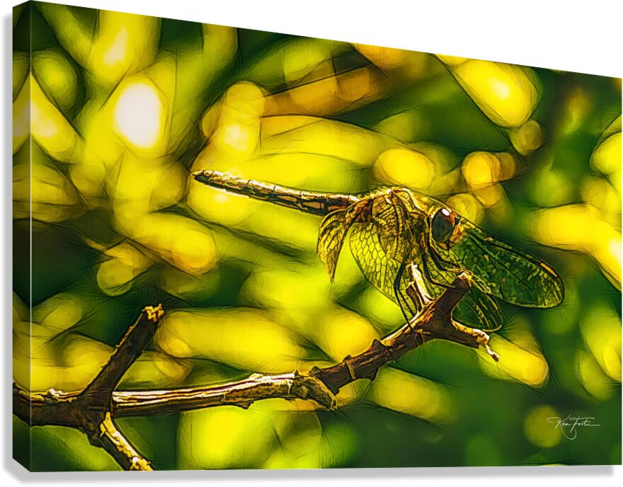 Background Details Canvas Print