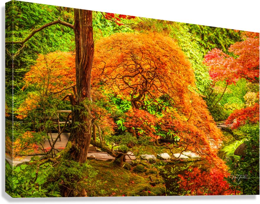 Autumnation Canvas Print
