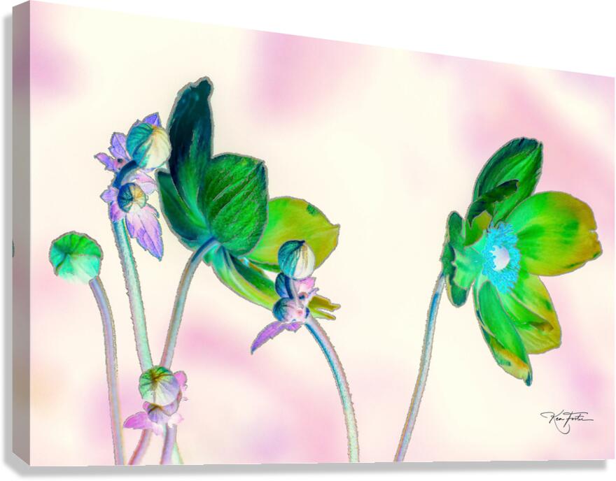 Back and Front Canvas Print