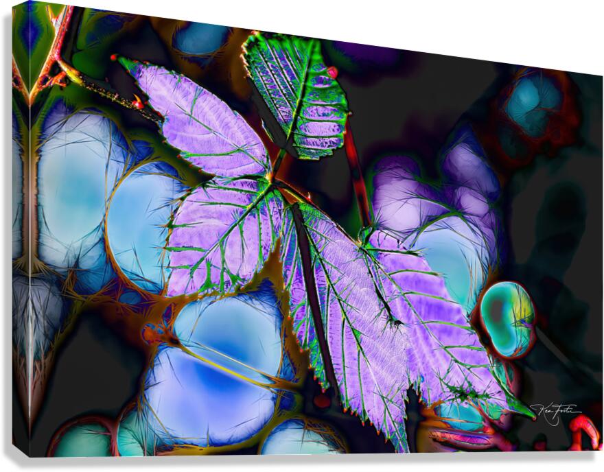 Blackberry Canvas Print