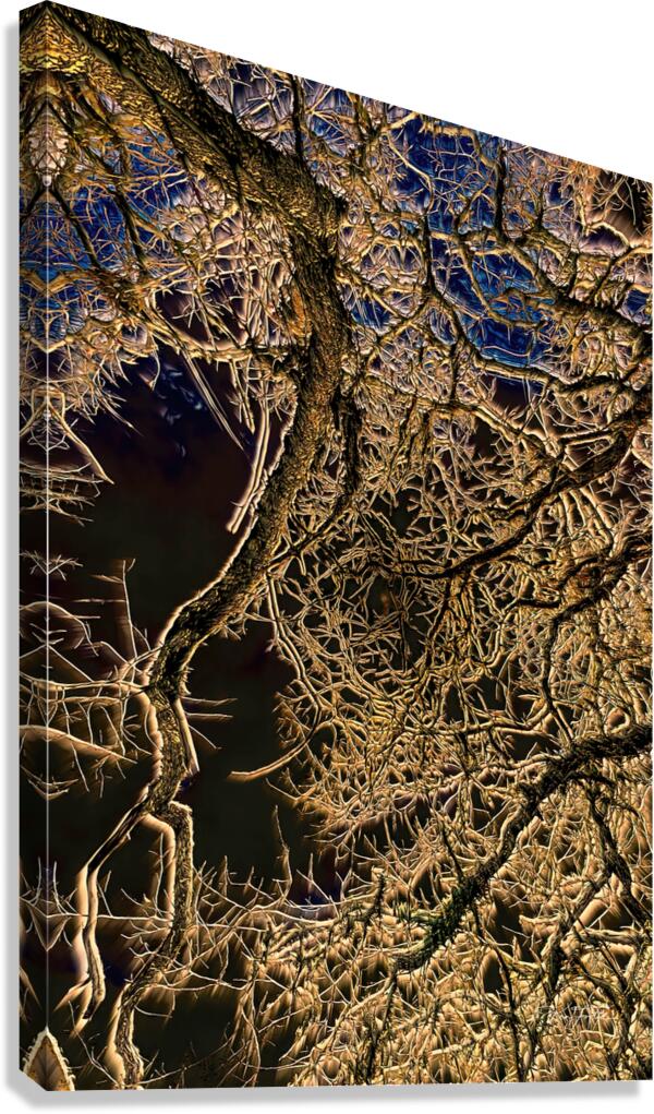 Branch Web Canvas Print