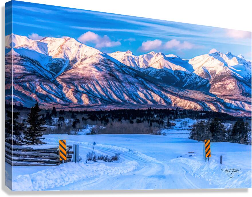 Cattle Guard Canvas Print