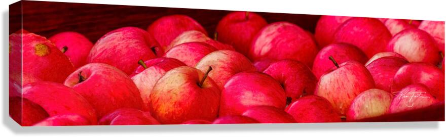 Cider Apples Canvas Print