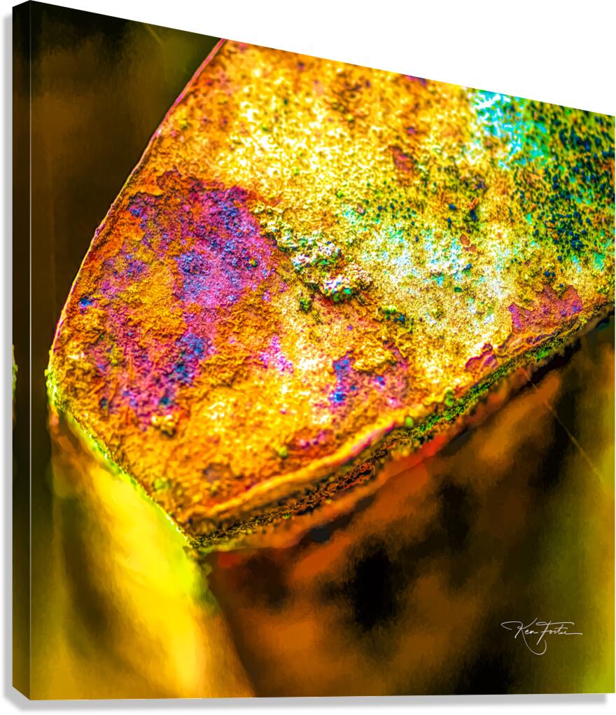 Custom Rust Canvas Print