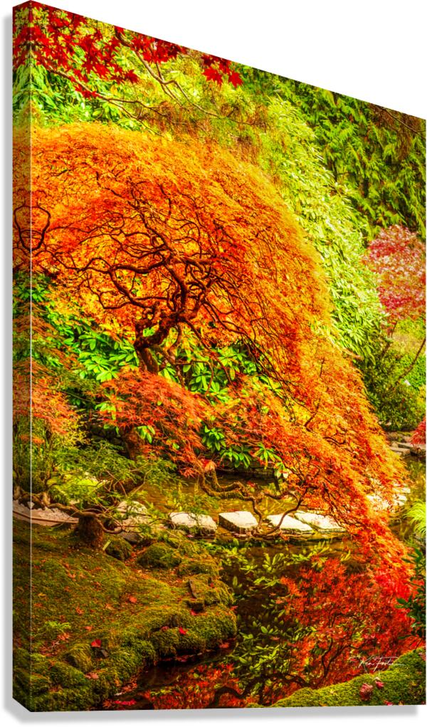 Curling Canvas Print