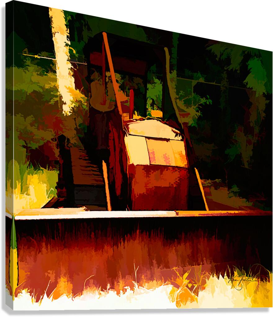 Doozer Canvas Print