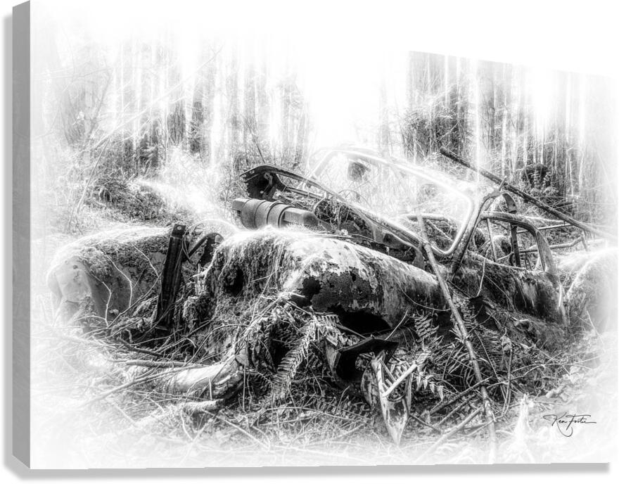 Disappearance Canvas Print