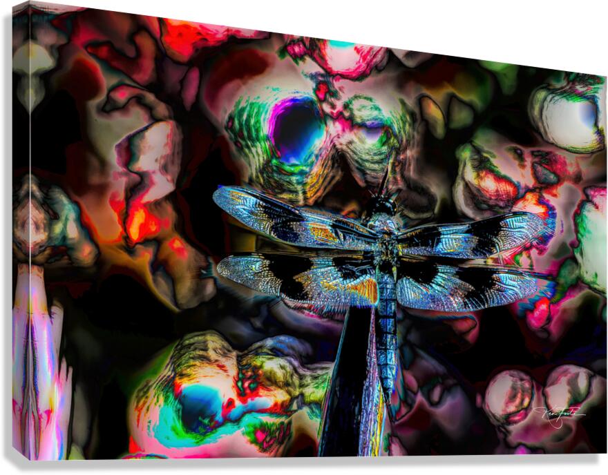 Dragonflying Canvas Print