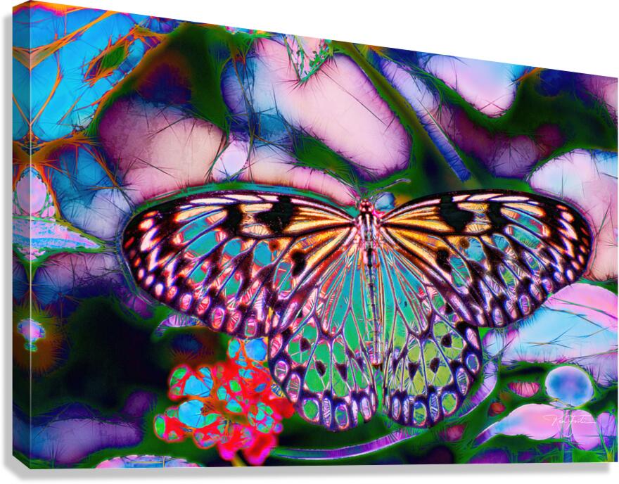 Faeriefly Canvas Print