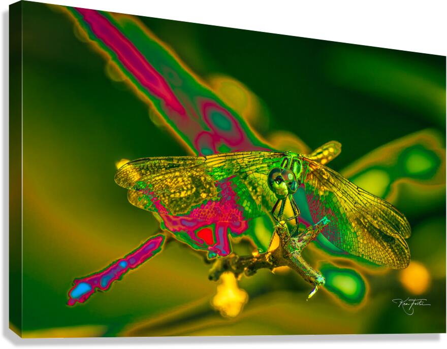 Electric Dragonfly Canvas Print